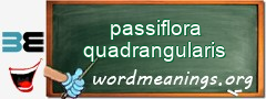 WordMeaning blackboard for passiflora quadrangularis